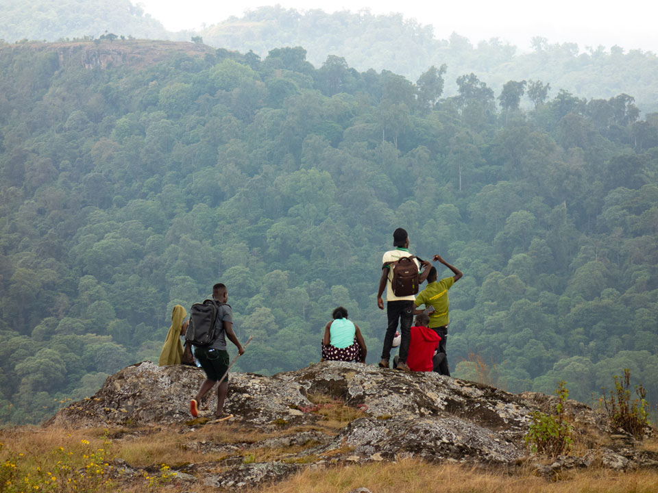 The team looking out over the virgin rain forest that covers Mount Elgon